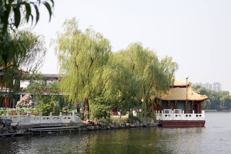 Day 1 Beijing | Longtan Park – Xiaojingchang Hutong - Dali Su restaurant beijing