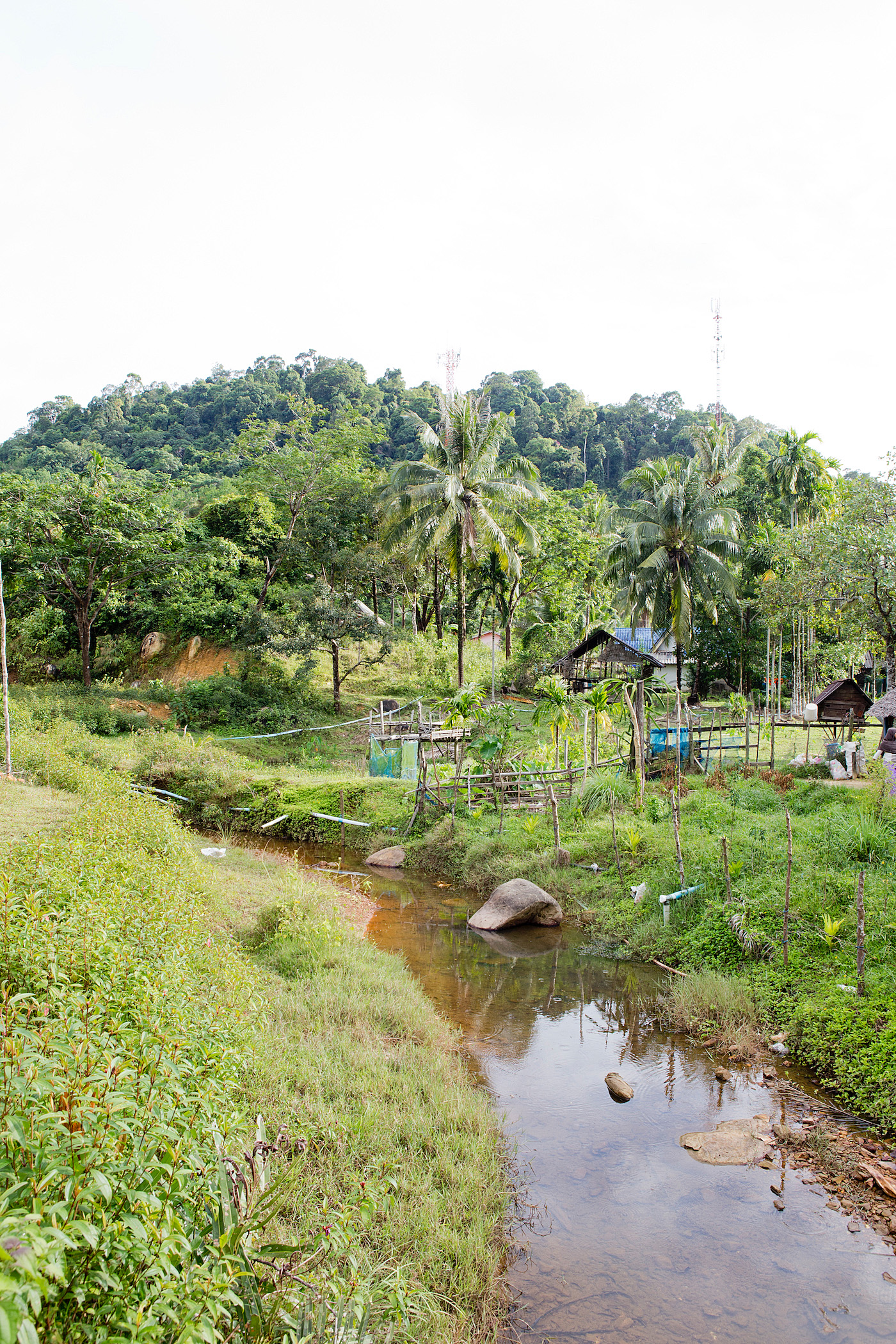 www.thegoldenbun.com | andaman discoveries, authentic thailand, ban thalae nok village