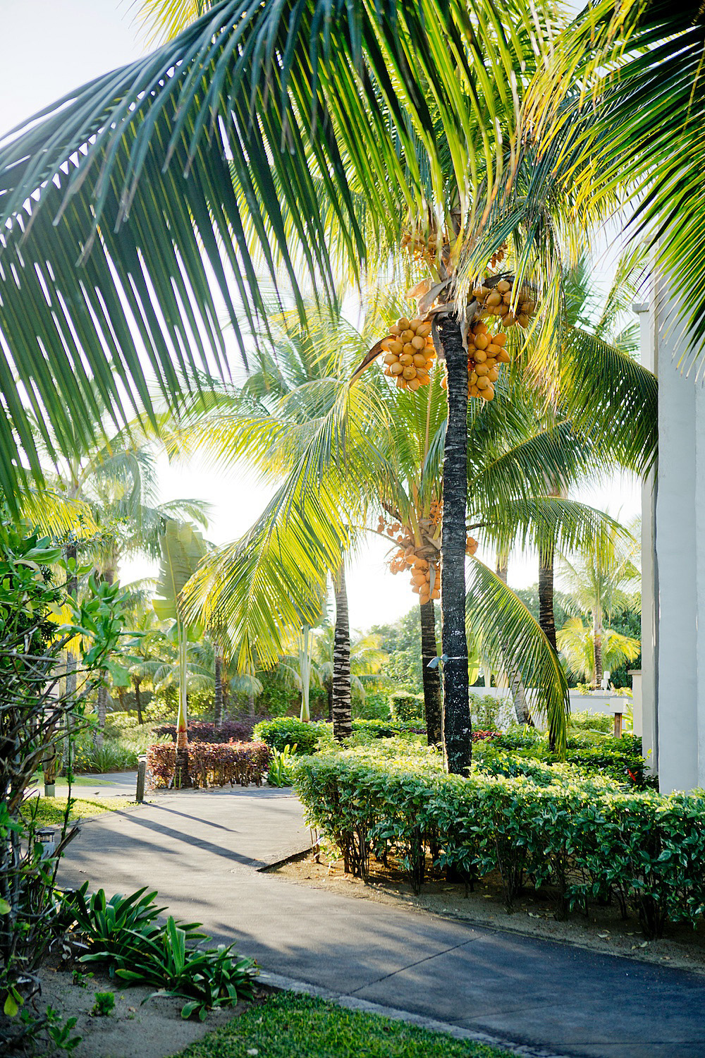 Long Beach Mauritius – Long Beach Golf & Spa Resort - hotel long beach mauritius all inclusive - Mauritius all inclusive hotel