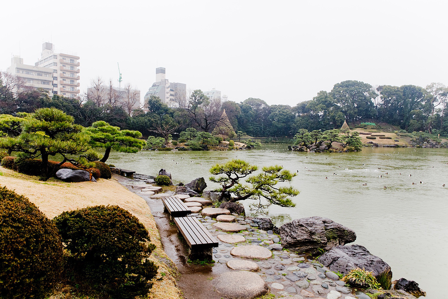 The Golden Bun's Guide to TOKIO | Kiyosumi-Park, 48 hours in Tokio www.thegoldenbun.com