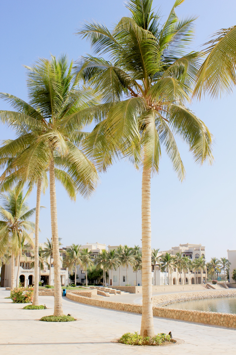 Oman_Al Baleed Resort Salalah by Anantara 