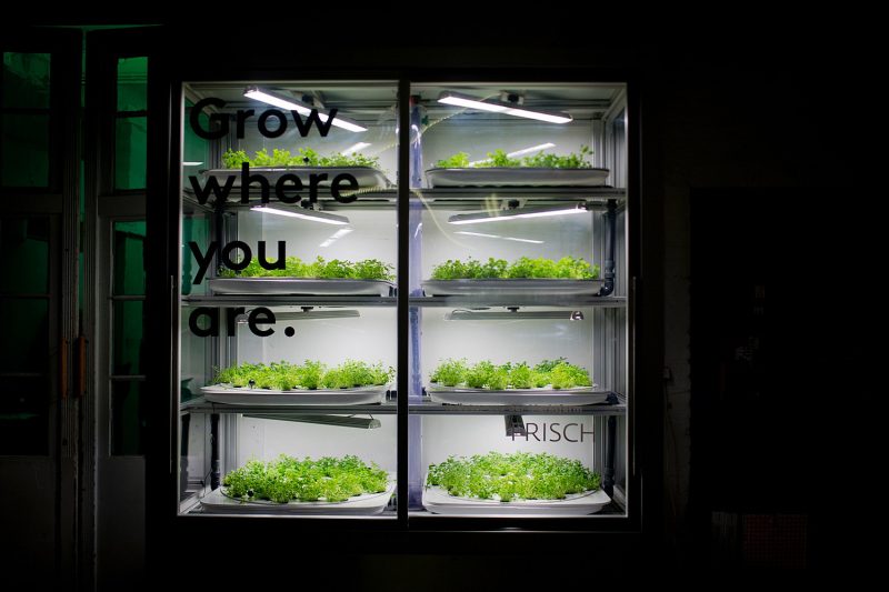 Tanqeray Gin _ London Dry Gin _ salt & silver _ Infarm Indoor Urban Farming