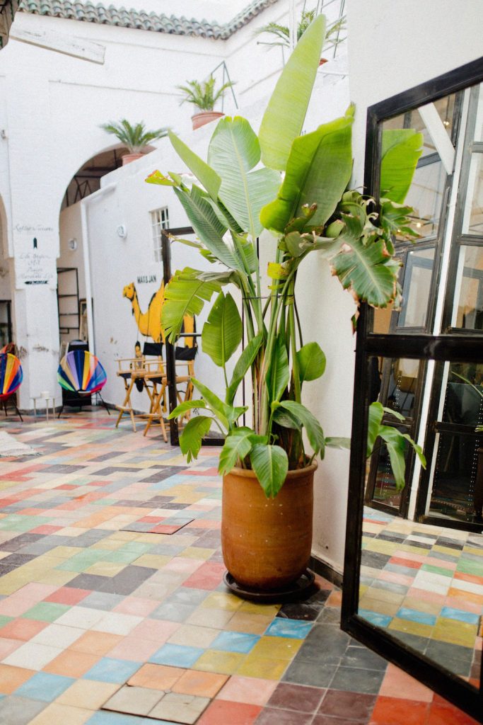 shopping marrakesh marrakech concept store max & jan morocco shopping