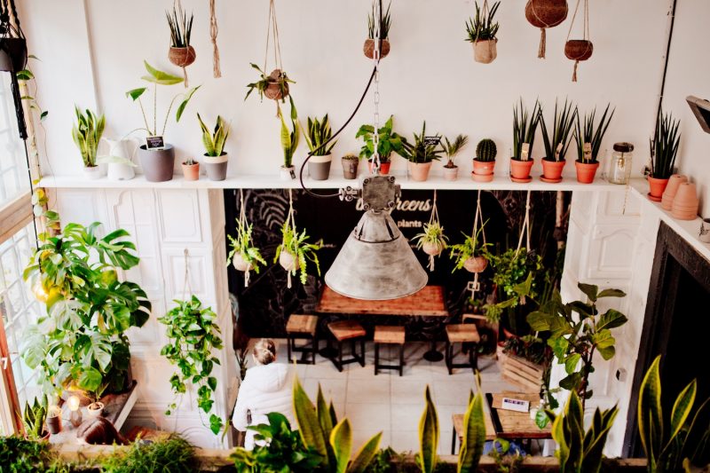 www.thegoldenbun.com // The Greens Coffee & Plants Berlin Mitte Café Alte Münze