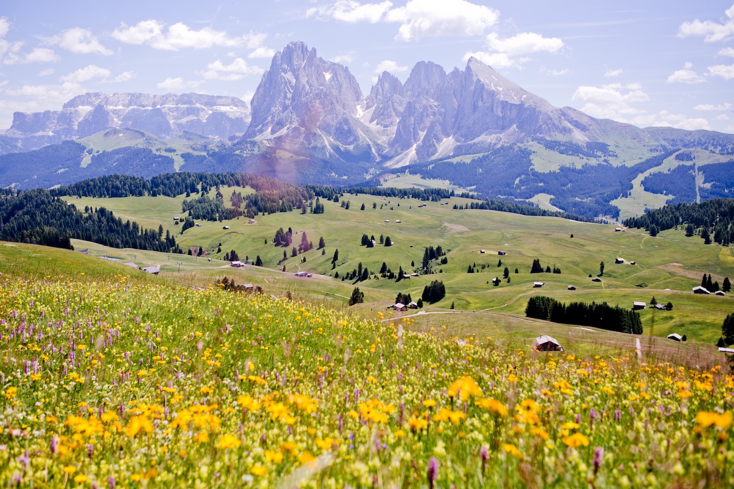 VAL GARDENA – on a hiking tour in the flowery & impressive DOLOMITES